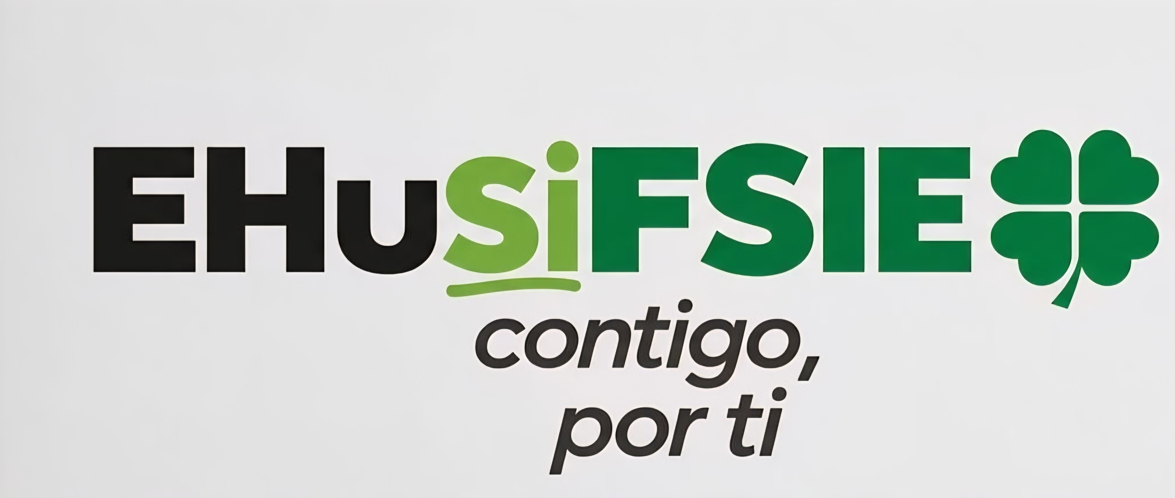 EHu-FSIE